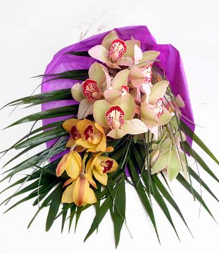  Bursa hediye iek yolla  1 adet dal orkide buket halinde sunulmakta