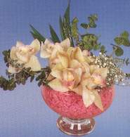  Bursa online iek gnderme sipari  Dal orkide kalite bir hediye