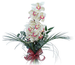  Bursa iek gnderme sitemiz gvenlidir  Dal orkide ithal iyi kalite