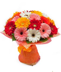 Renkli gerbera buketi  Bursa internetten çiçek satışı 