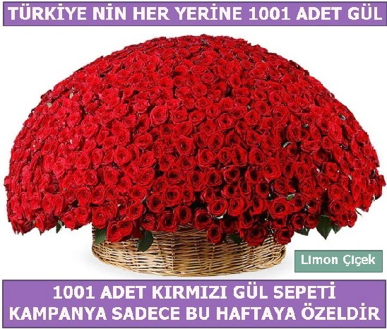 1001 Adet kırmızı gül Bu haftaya özel  Bursa hediye sevgilime hediye çiçek 