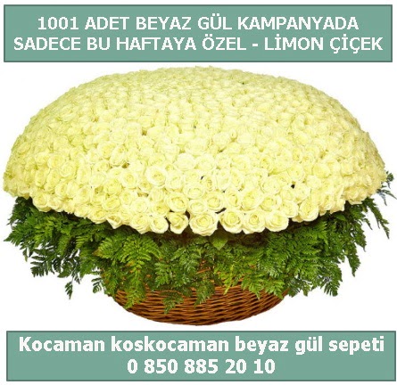 1001 adet beyaz gül sepeti özel kampanyada  Bursa çiçek online çiçek siparişi 