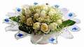 cam günes ve dolunay bembeyaz  Bursa yurtiçi ve yurtdışı çiçek siparişi 
