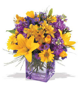  Bursa online çiçek gönderme sipariş  cam içerisinde kir çiçekleri demeti