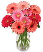 vazo içerisinde 13 adet gerbera çiçeği  Bursa çiçek gönderme sitemiz güvenlidir 