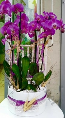 Seramik vazoda 4 dallı mor lila orkide  Bursa çiçek , çiçekçi , çiçekçilik 